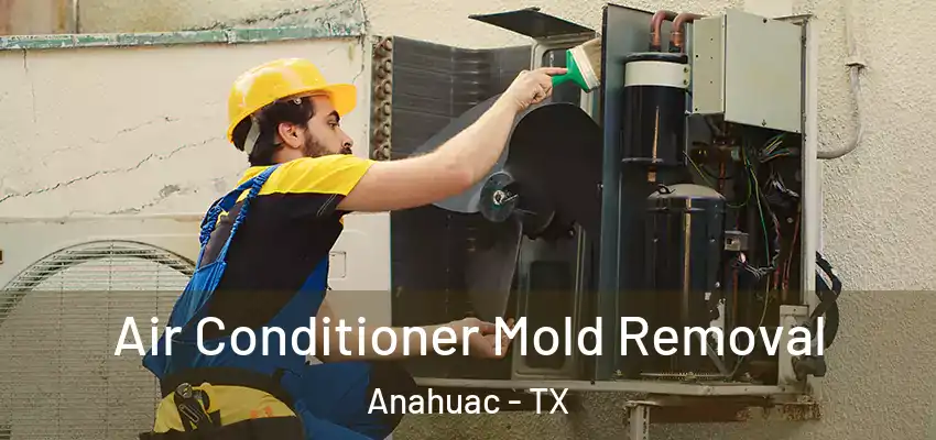 Air Conditioner Mold Removal Anahuac - TX