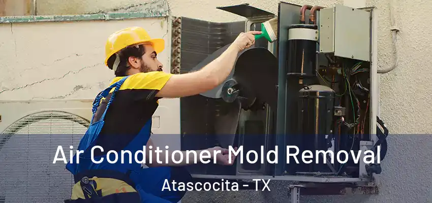  Air Conditioner Mold Removal Atascocita - TX