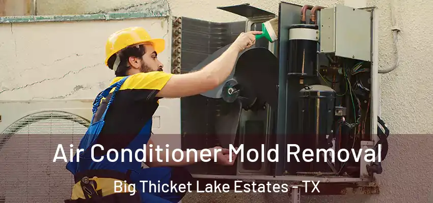Air Conditioner Mold Removal Big Thicket Lake Estates - TX