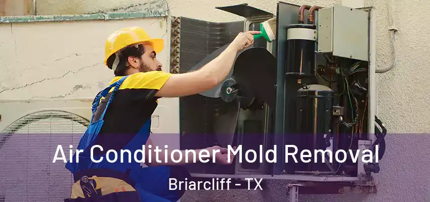 Air Conditioner Mold Removal Briarcliff - TX