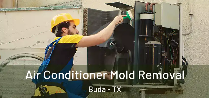  Air Conditioner Mold Removal Buda - TX