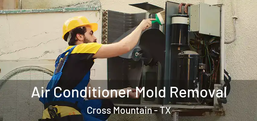 Air Conditioner Mold Removal Cross Mountain - TX