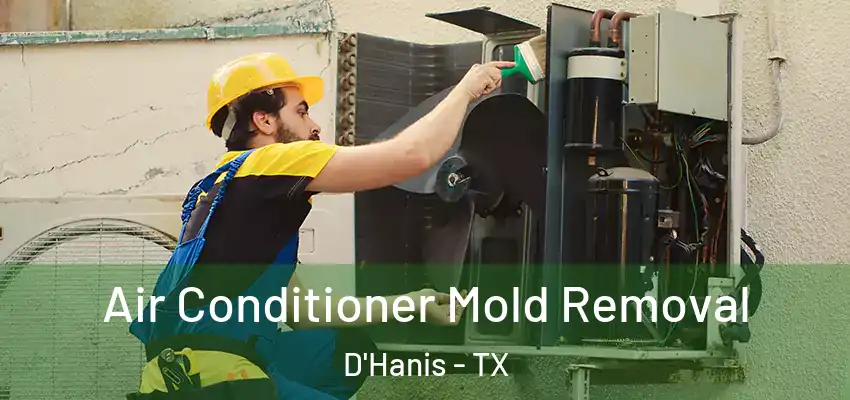 Air Conditioner Mold Removal D'Hanis - TX
