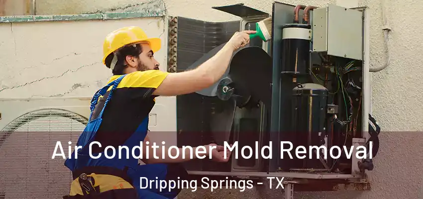 Air Conditioner Mold Removal Dripping Springs - TX
