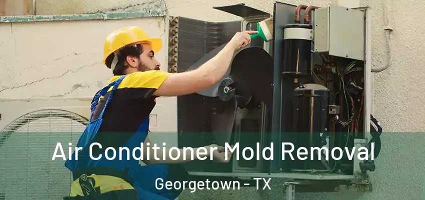  Air Conditioner Mold Removal Georgetown - TX
