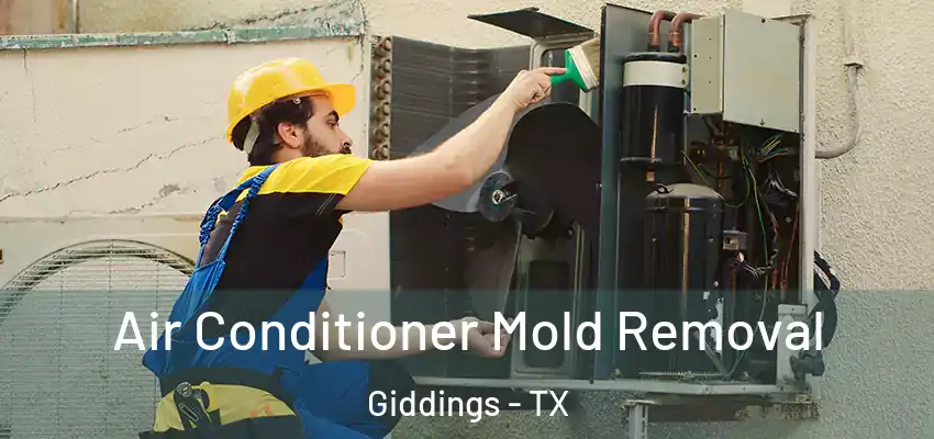  Air Conditioner Mold Removal Giddings - TX