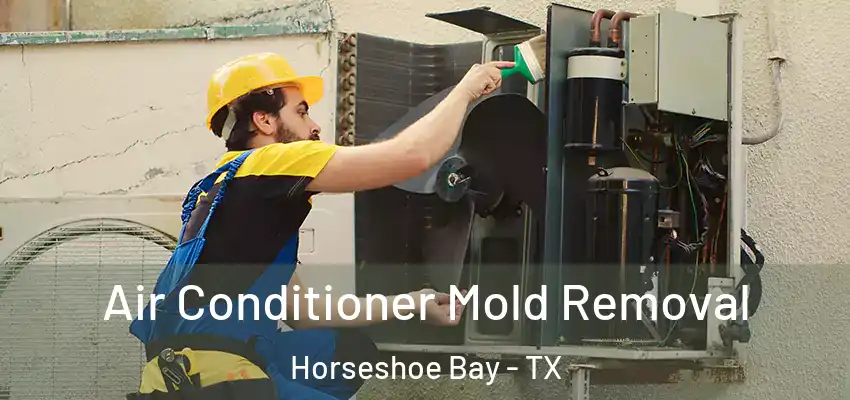 Air Conditioner Mold Removal Horseshoe Bay - TX