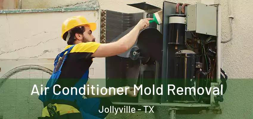  Air Conditioner Mold Removal Jollyville - TX