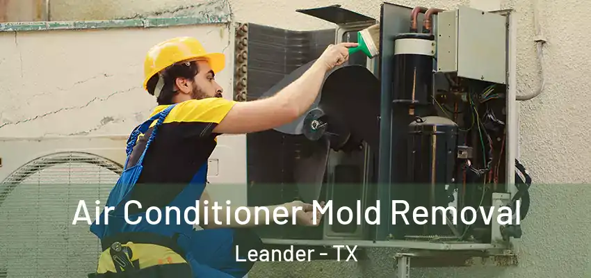  Air Conditioner Mold Removal Leander - TX
