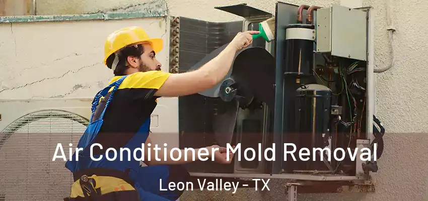  Air Conditioner Mold Removal Leon Valley - TX