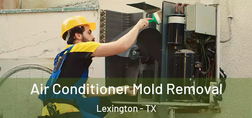  Air Conditioner Mold Removal Lexington - TX