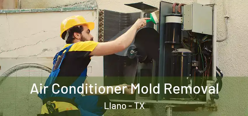  Air Conditioner Mold Removal Llano - TX