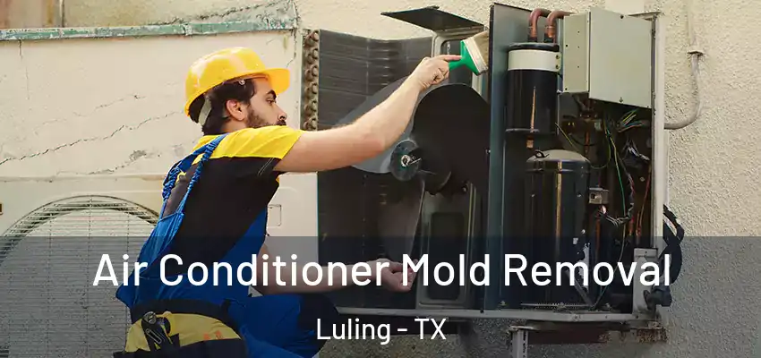  Air Conditioner Mold Removal Luling - TX