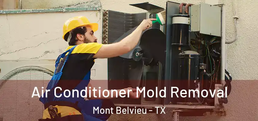 Air Conditioner Mold Removal Mont Belvieu - TX