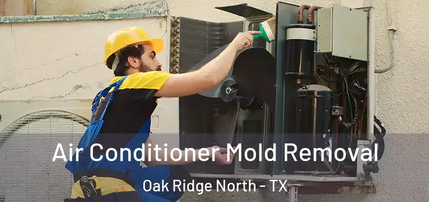 Air Conditioner Mold Removal Oak Ridge North - TX