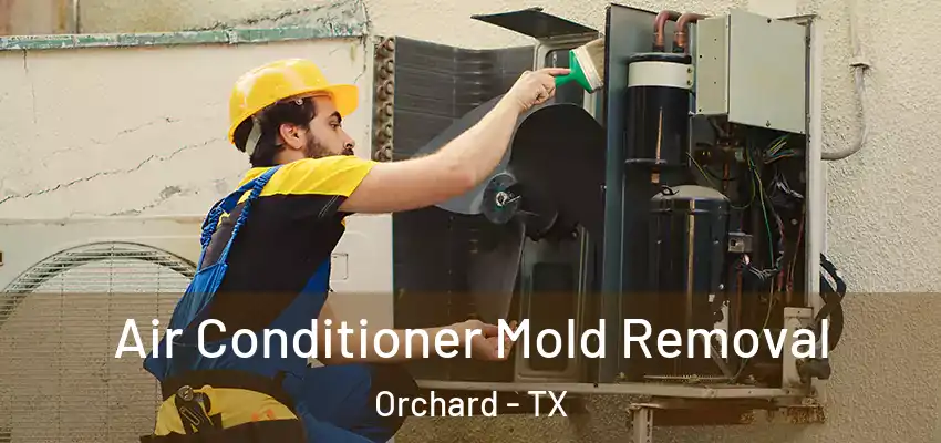  Air Conditioner Mold Removal Orchard - TX