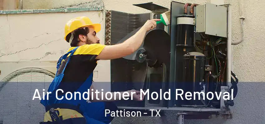  Air Conditioner Mold Removal Pattison - TX