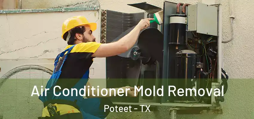  Air Conditioner Mold Removal Poteet - TX