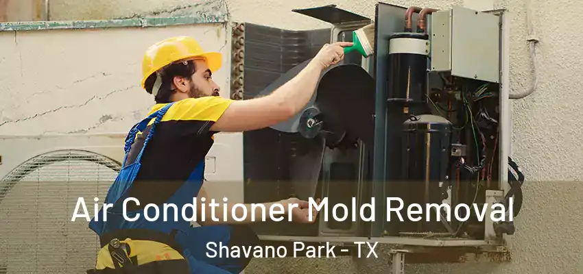 Air Conditioner Mold Removal Shavano Park - TX