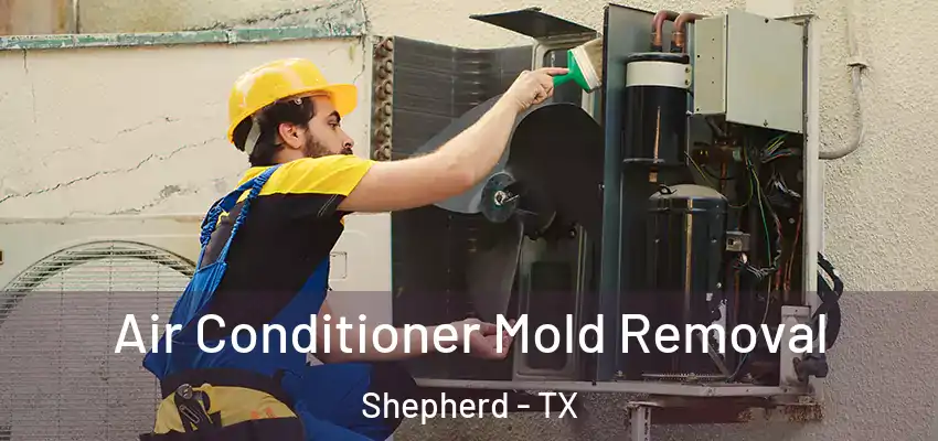  Air Conditioner Mold Removal Shepherd - TX