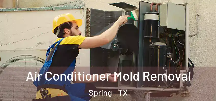  Air Conditioner Mold Removal Spring - TX