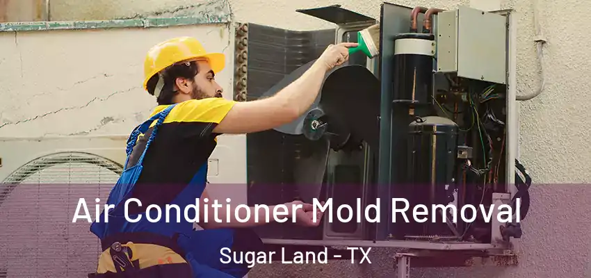  Air Conditioner Mold Removal Sugar Land - TX