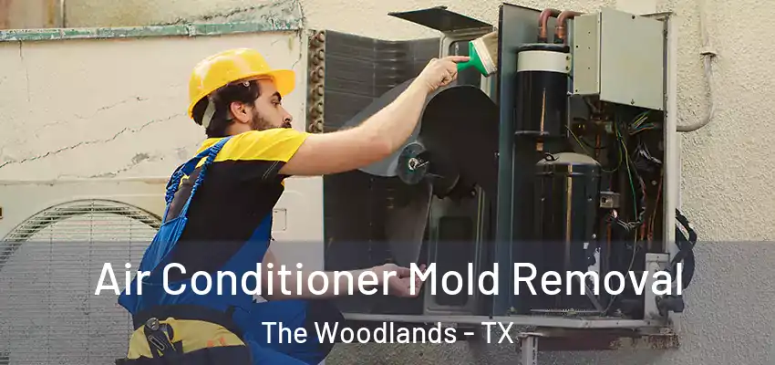 Air Conditioner Mold Removal The Woodlands - TX