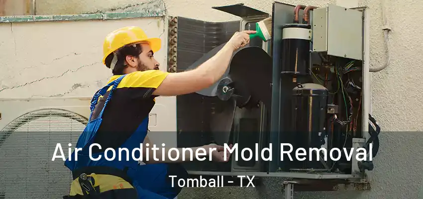  Air Conditioner Mold Removal Tomball - TX