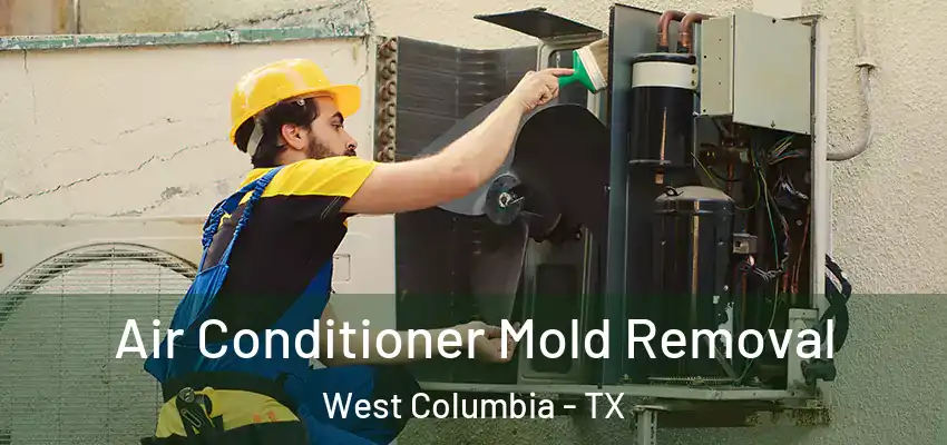 Air Conditioner Mold Removal West Columbia - TX