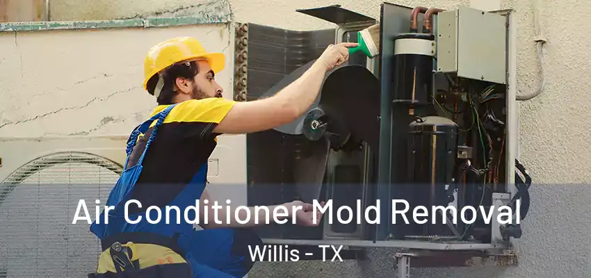  Air Conditioner Mold Removal Willis - TX