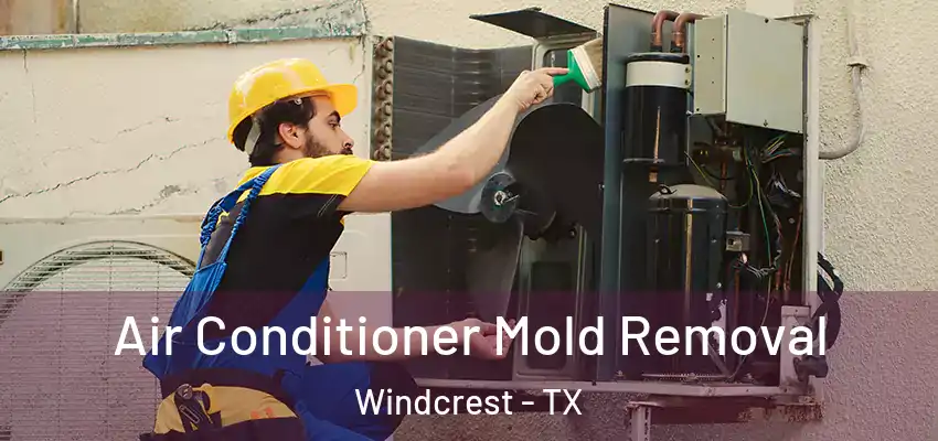 Air Conditioner Mold Removal Windcrest - TX
