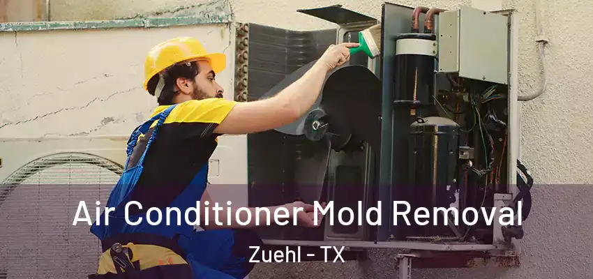  Air Conditioner Mold Removal Zuehl - TX