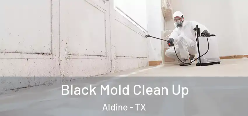 Black Mold Clean Up Aldine - TX