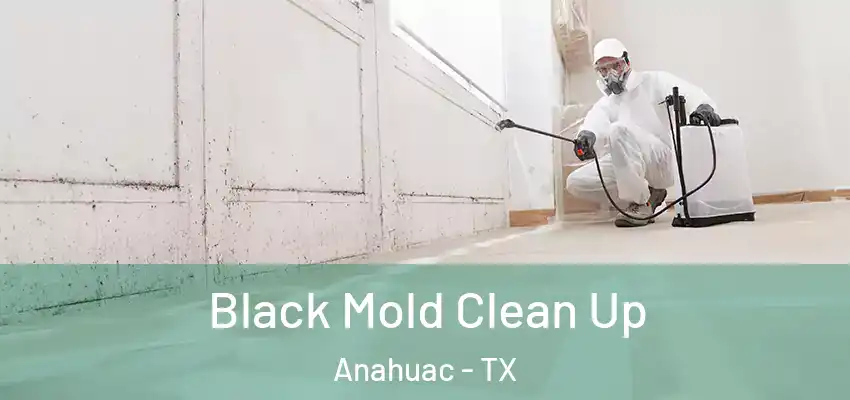 Black Mold Clean Up Anahuac - TX
