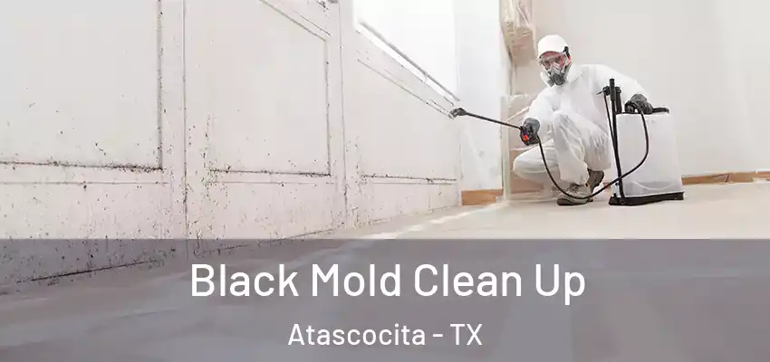 Black Mold Clean Up Atascocita - TX
