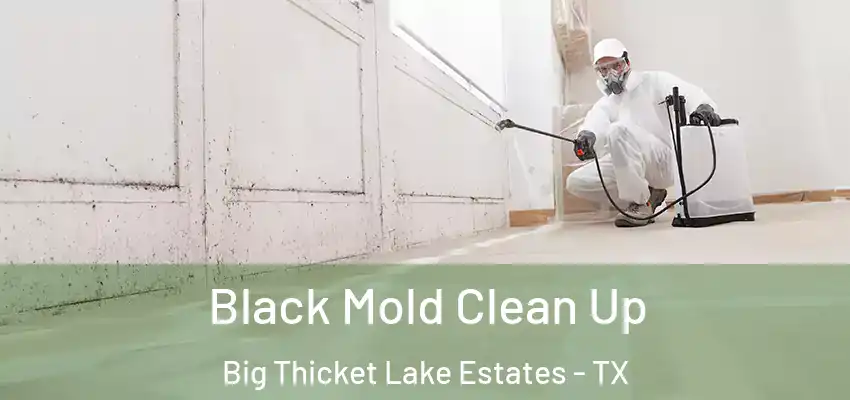  Black Mold Clean Up Big Thicket Lake Estates - TX