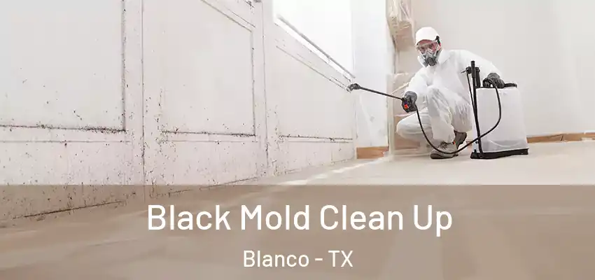 Black Mold Clean Up Blanco - TX