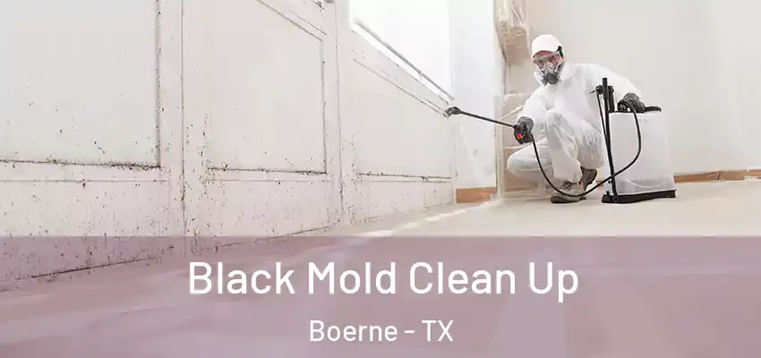 Black Mold Clean Up Boerne - TX
