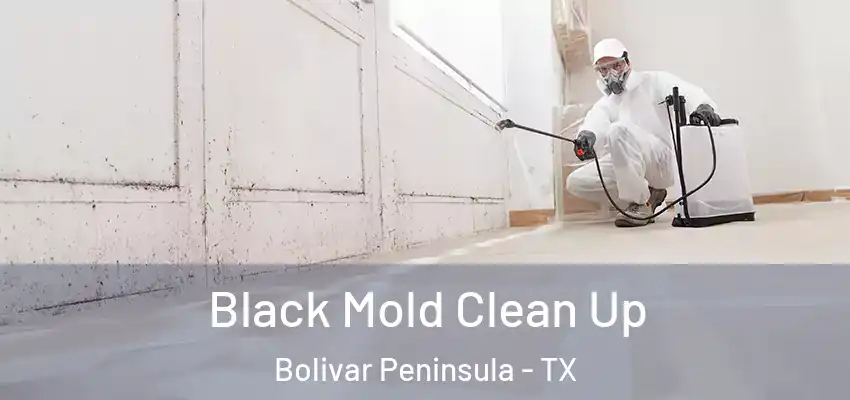 Black Mold Clean Up Bolivar Peninsula - TX