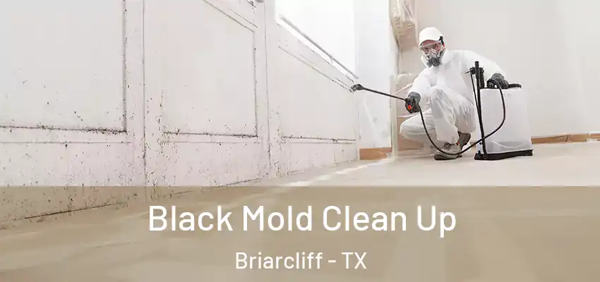  Black Mold Clean Up Briarcliff - TX