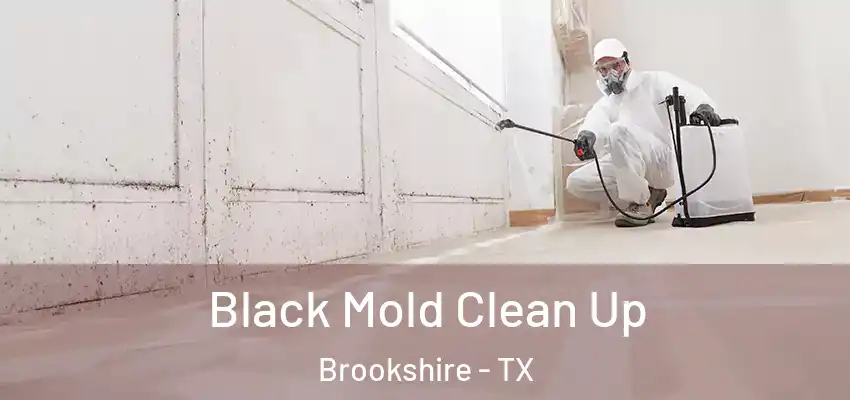 Black Mold Clean Up Brookshire - TX