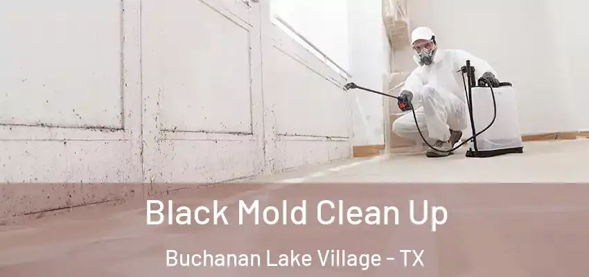 Black Mold Clean Up Buchanan Lake Village - TX