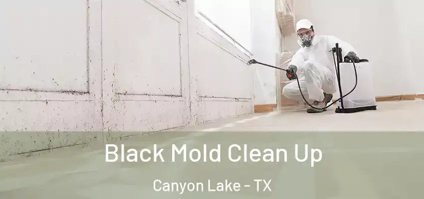 Black Mold Clean Up Canyon Lake - TX