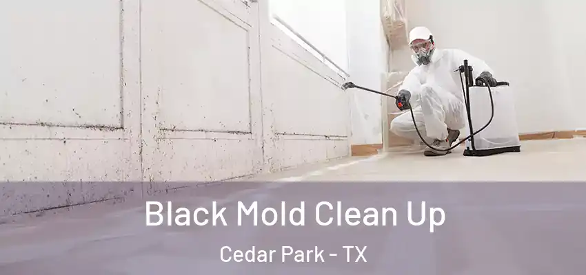 Black Mold Clean Up Cedar Park - TX