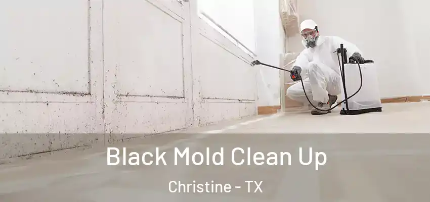 Black Mold Clean Up Christine - TX