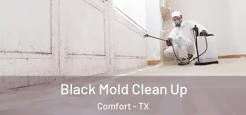 Black Mold Clean Up Comfort - TX