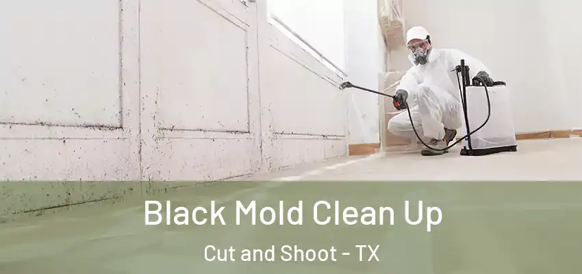  Black Mold Clean Up Cut and Shoot - TX