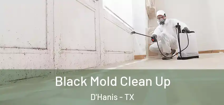 Black Mold Clean Up D'Hanis - TX