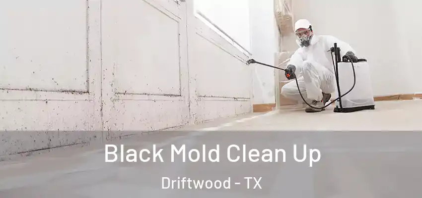  Black Mold Clean Up Driftwood - TX