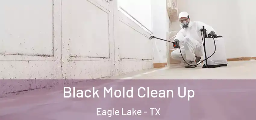  Black Mold Clean Up Eagle Lake - TX
